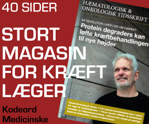 Magasin for december 2024
